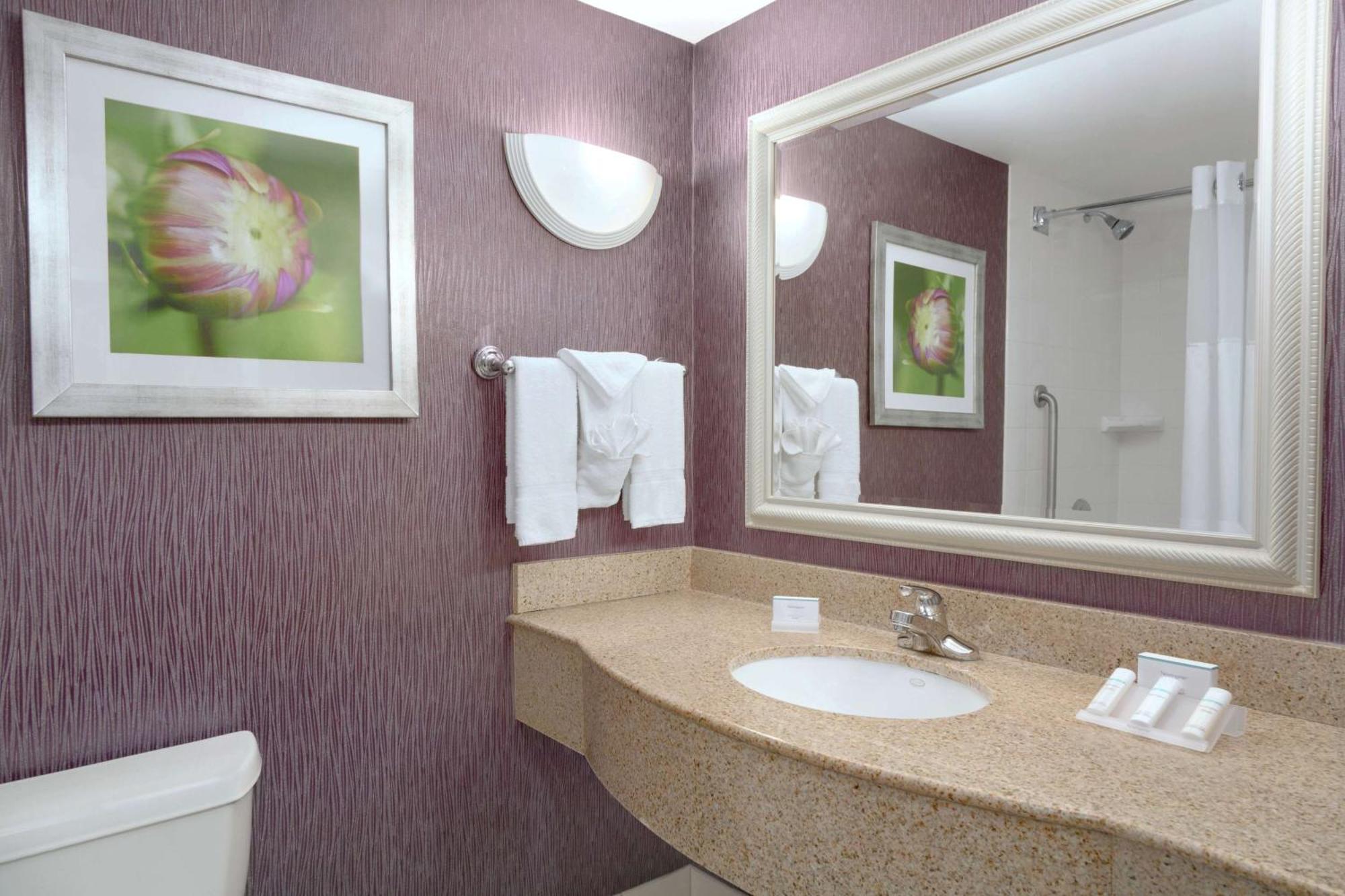 Hilton Garden Inn Springfield, Ma Bagian luar foto